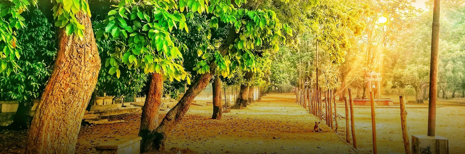 Bolpur Santiniketan Tagore