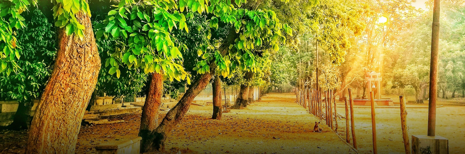 Visva-Bharati Santiniketan to Reopen for Tourists from October – Here’s What to Expect