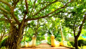 Visva-Bharati Opens to Tourists Again