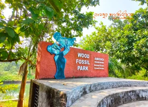 Amkhoi Wood Fossil Park: A Journey Millions of Years Back in Time near Santiniketan