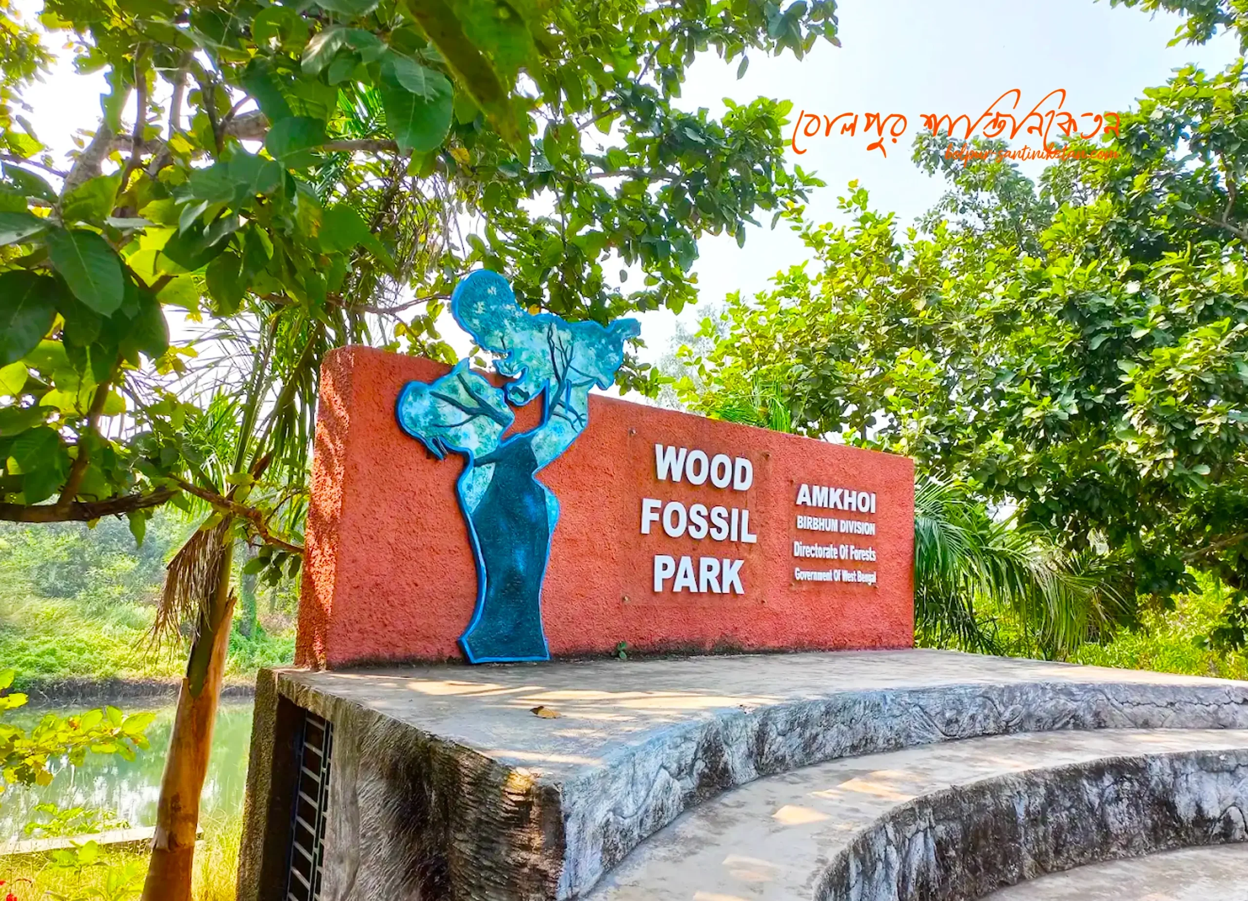 Wood Fossil Park Amkhoi, Near Bolpur